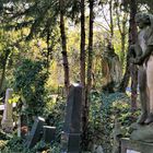 Der alte Friedhof in Bratislava