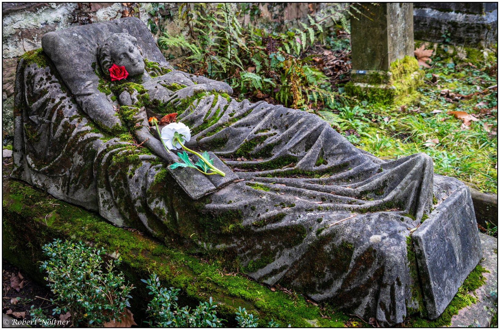 Der alte Friedhof in Freiburg 02