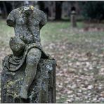 Der alte Friedhof in Freiburg 03