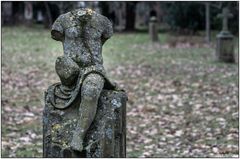 Der alte Friedhof in Freiburg 03