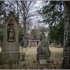 Der alte Friedhof in Freiburg 06