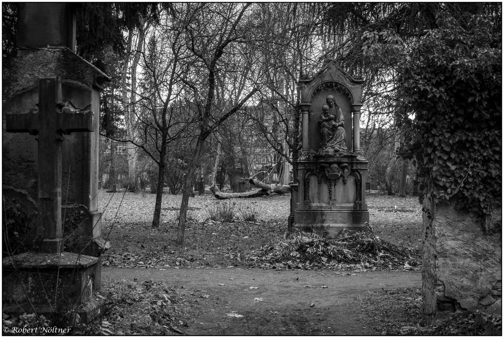 Der alte Friedhof in Freiburg 08