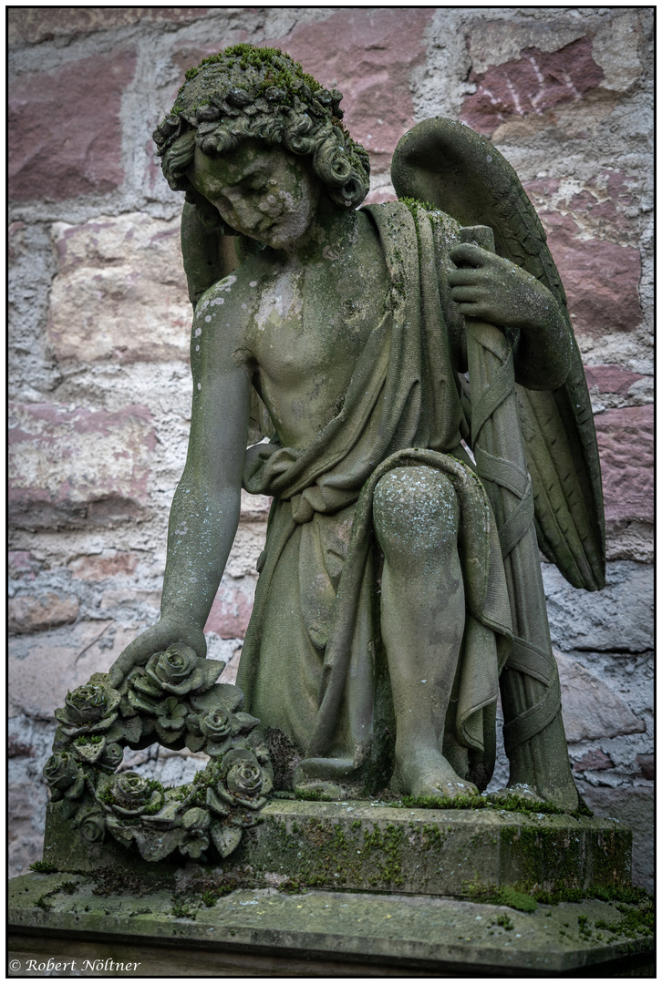 Der alte Friedhof in Freiburg 11