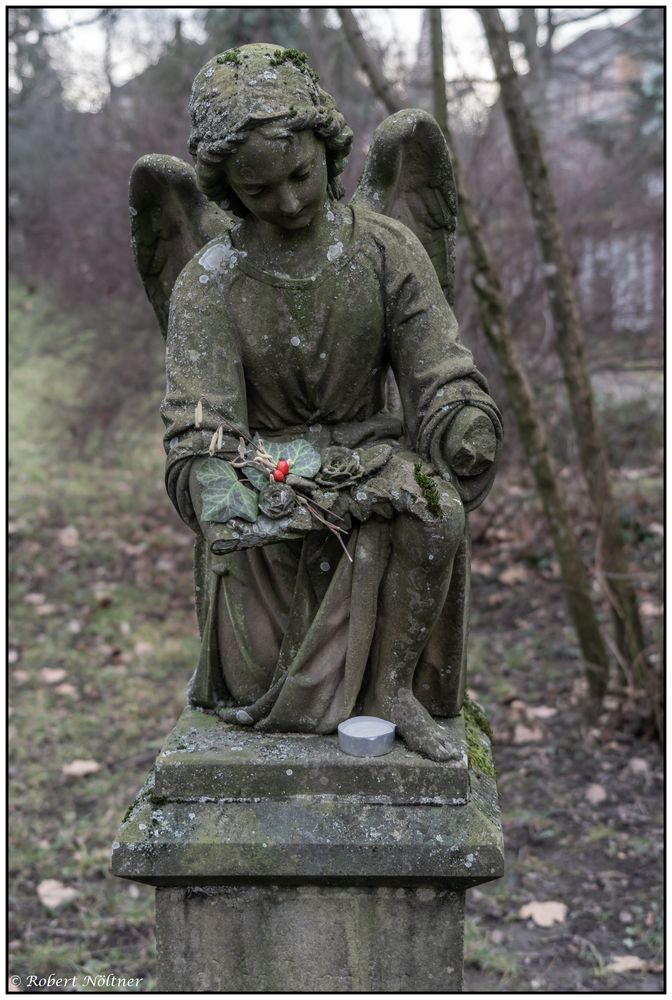 Der alte Friedhof in Freiburg 12