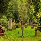 Der Alte Friedhof in Freiburg i.Br.