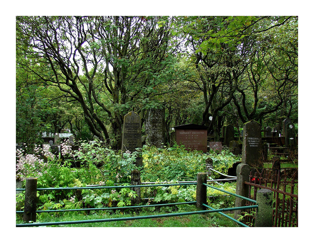 Der alte Friedhof von Reykjavik