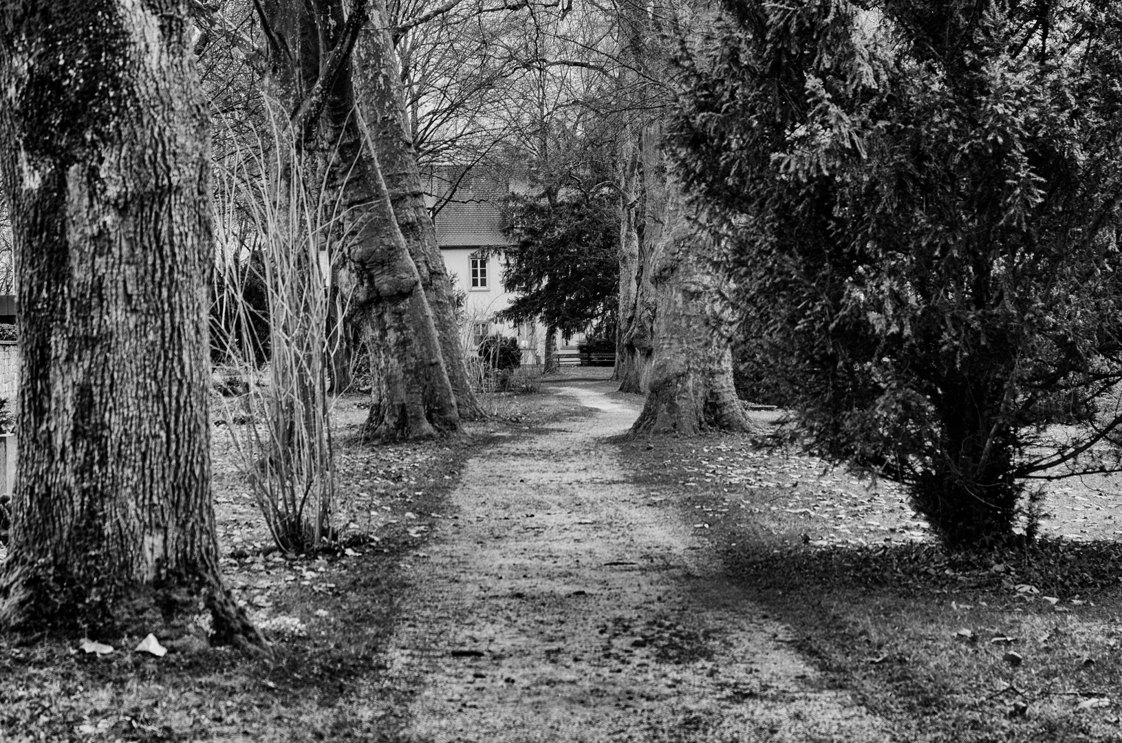 der alte Friedhof, wird immer mehr zur Parkanlage