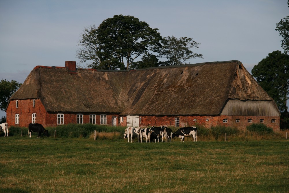 Der alte Friesenhof