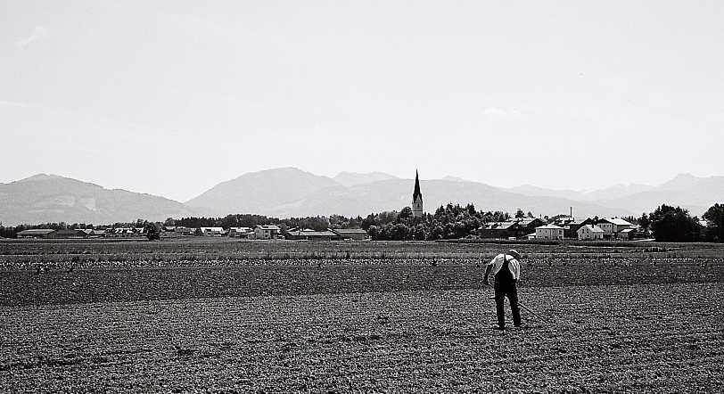 der alte gemüsebauer