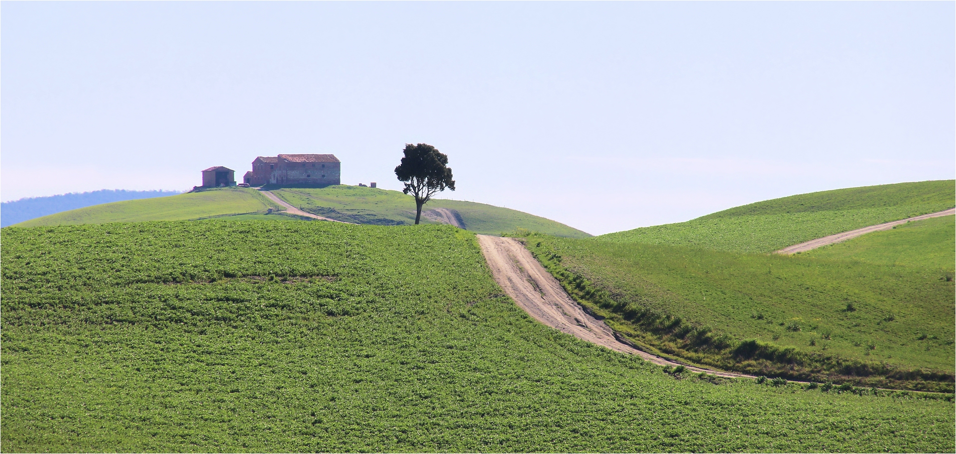 DER ALTE HOF