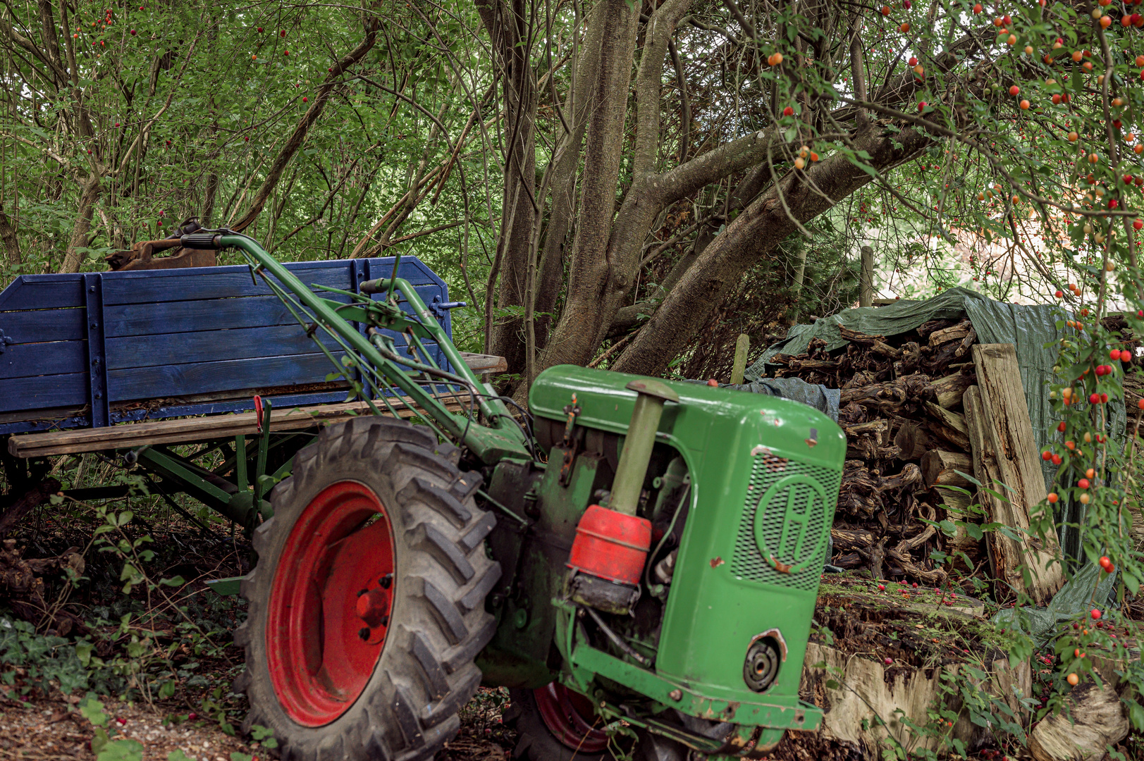 der alte Holztraktor (1 von 1)