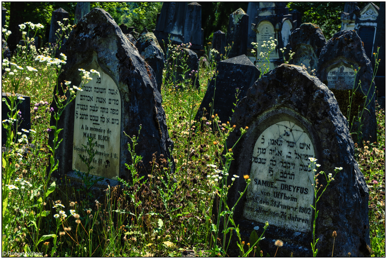 Der alte jüdische Friedhof 01