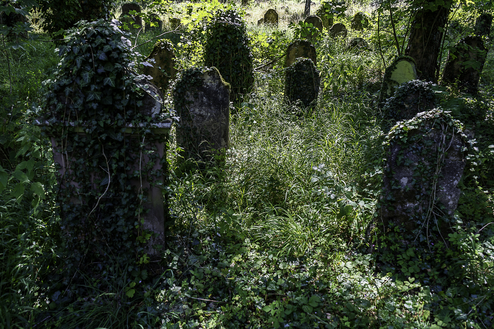 Der alte jüdische Friedhof 03