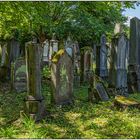 Der alte jüdische Friedhof 04