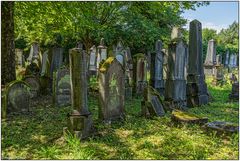 Der alte jüdische Friedhof 04