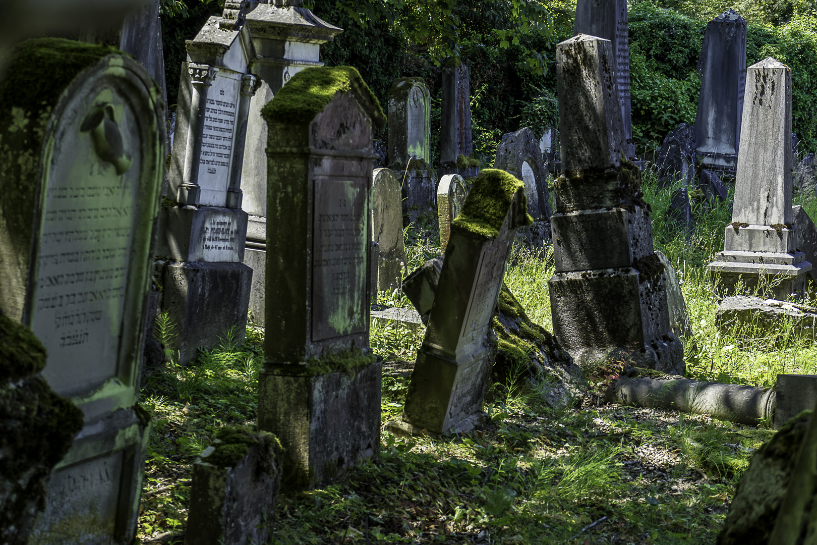 Der alte jüdische Friedhof 04