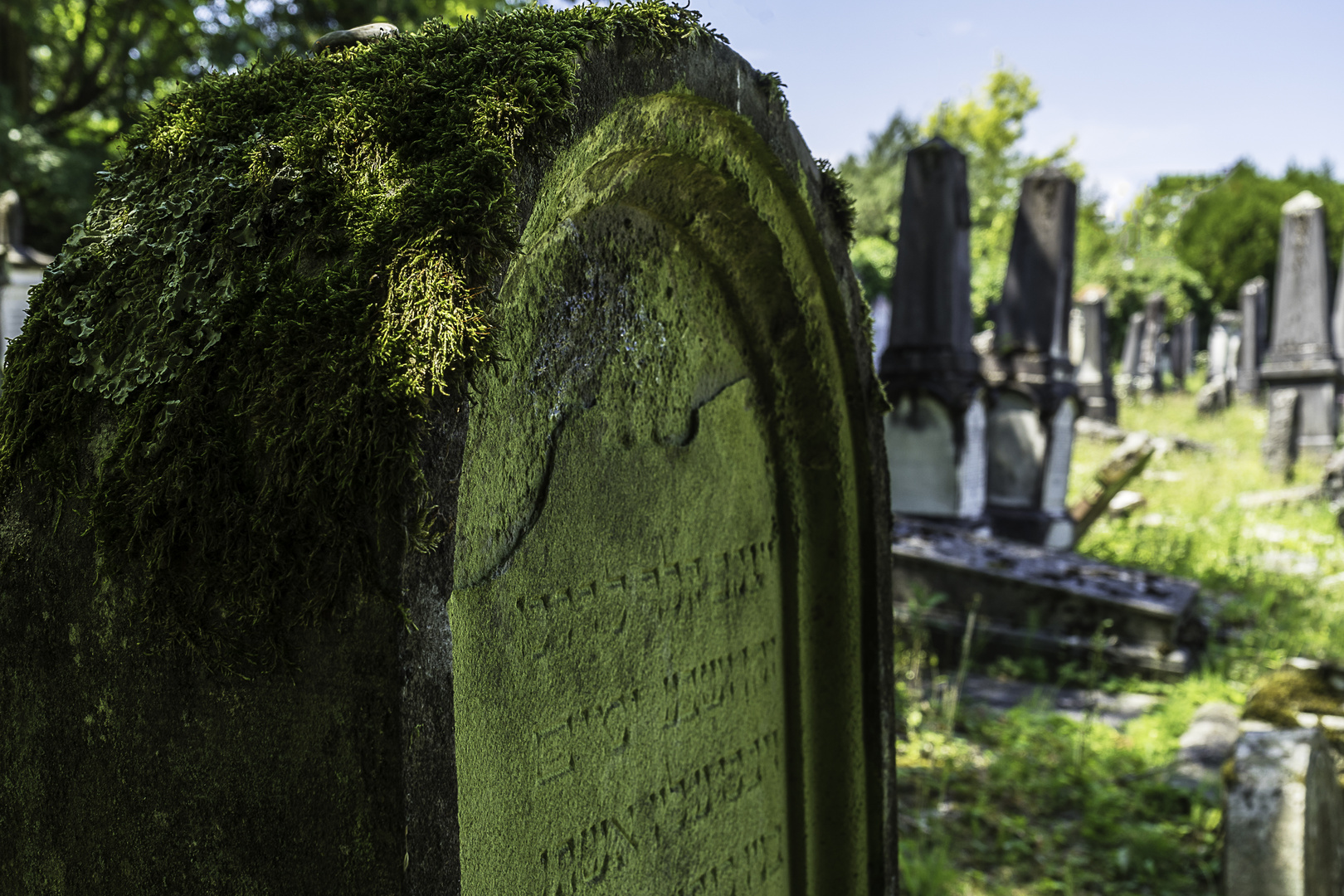 Der alte jüdische Friedhof 05