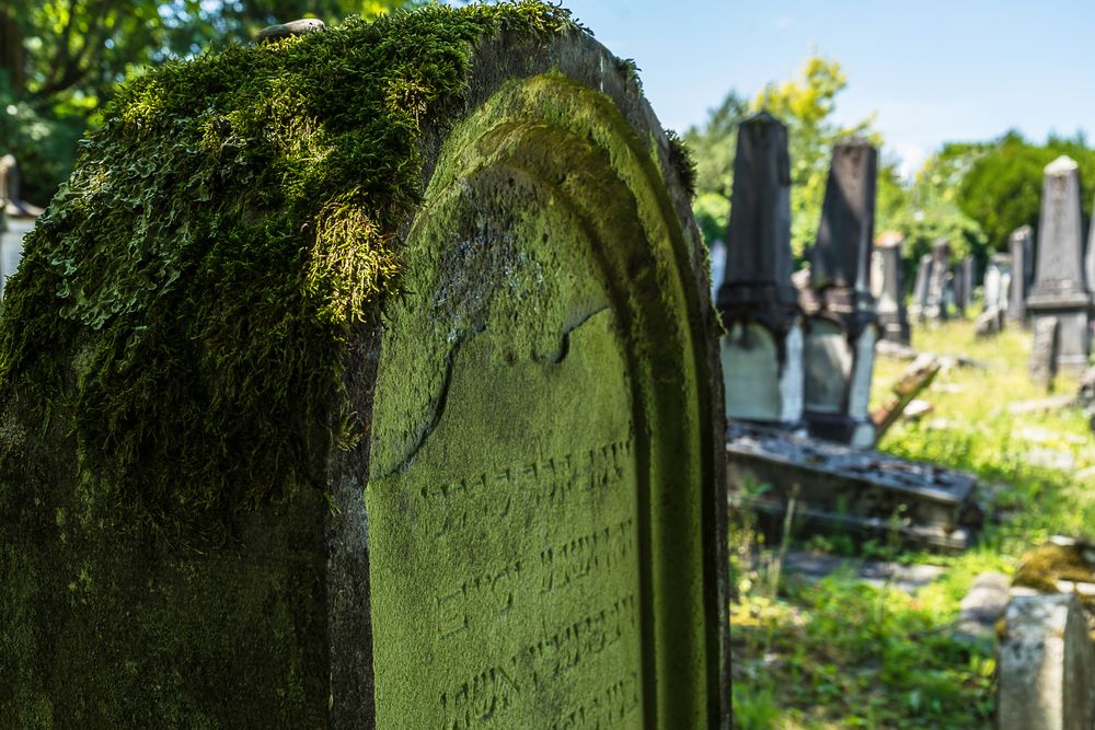 Der alte jüdische Friedhof 05