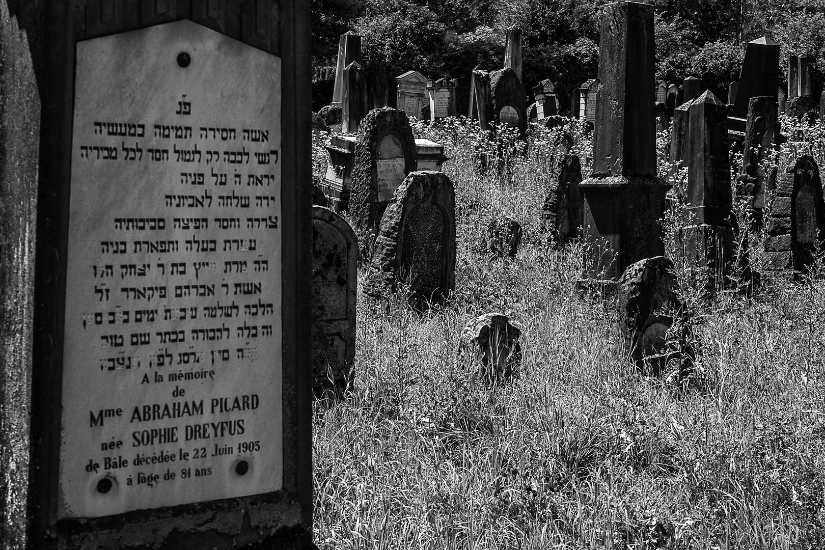 Der alte jüdische Friedhof 06