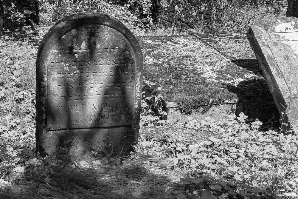 Der alte jüdische Friedhof 09