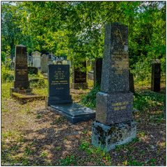 Der alte jüdische Friedhof