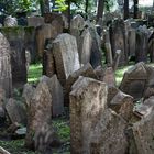 Der alte jüdische Friedhof