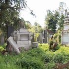 Der alte jüdische Friedhof in Wien ....