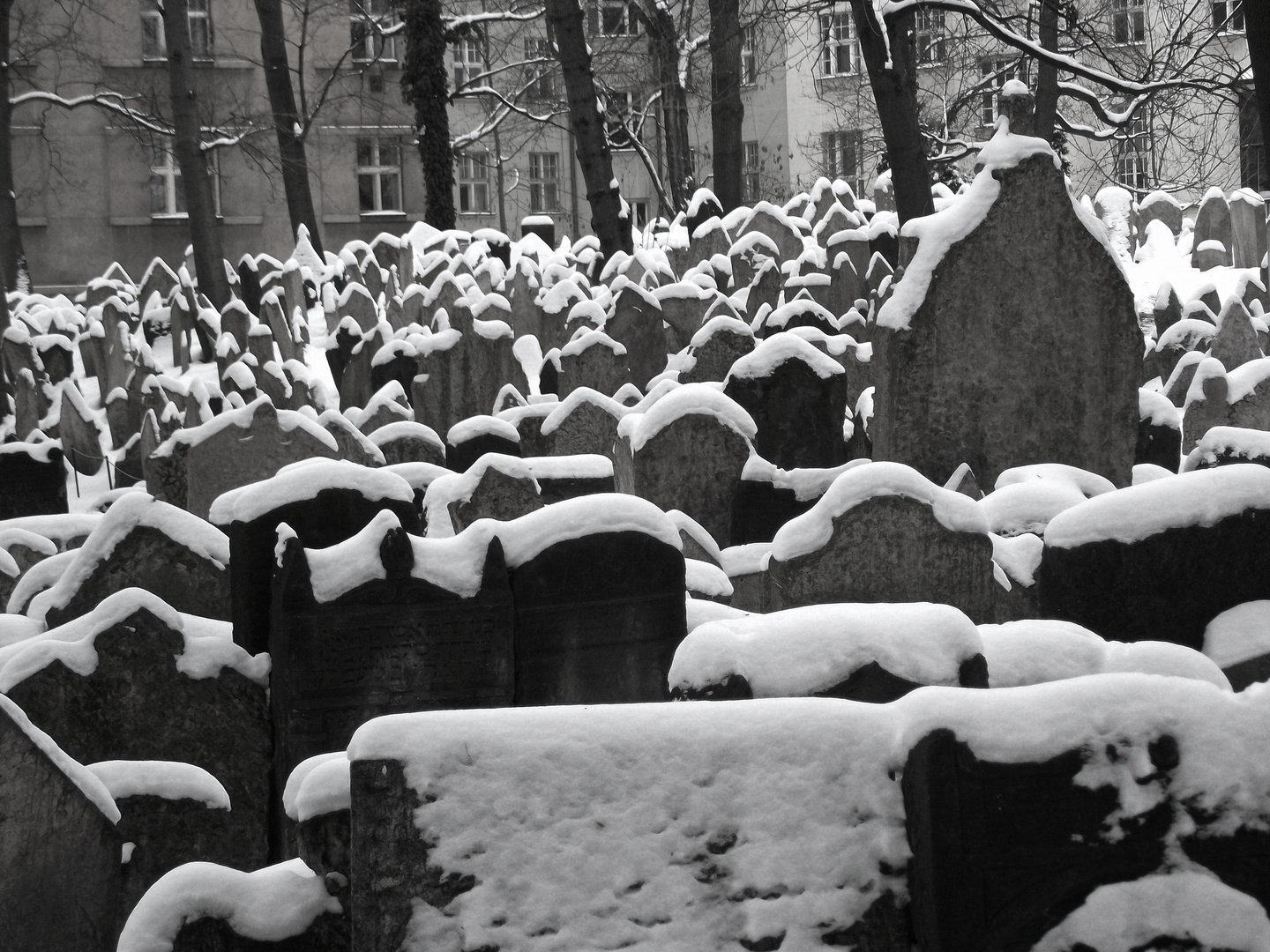 Der alte jüdische Friedhof von Prag im Winter