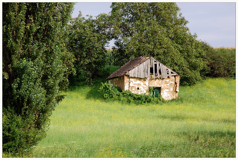 Der alte Keller