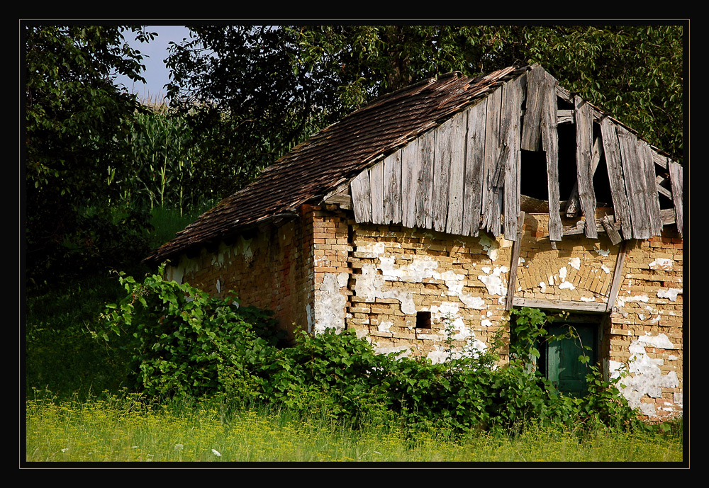 Der alte Keller II