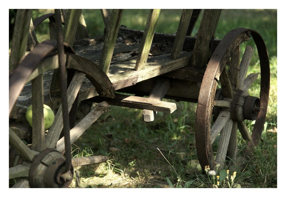 Der alte Leiterwagen