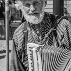 Der alte Mann am Alten Strom