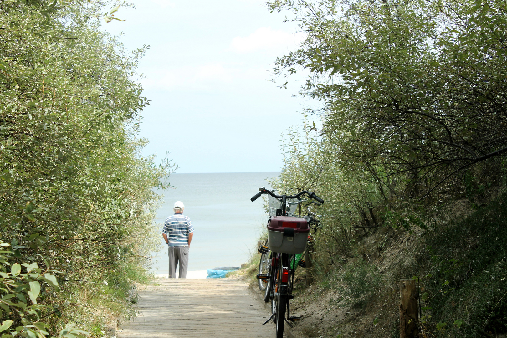 Der alte Mann am Meer