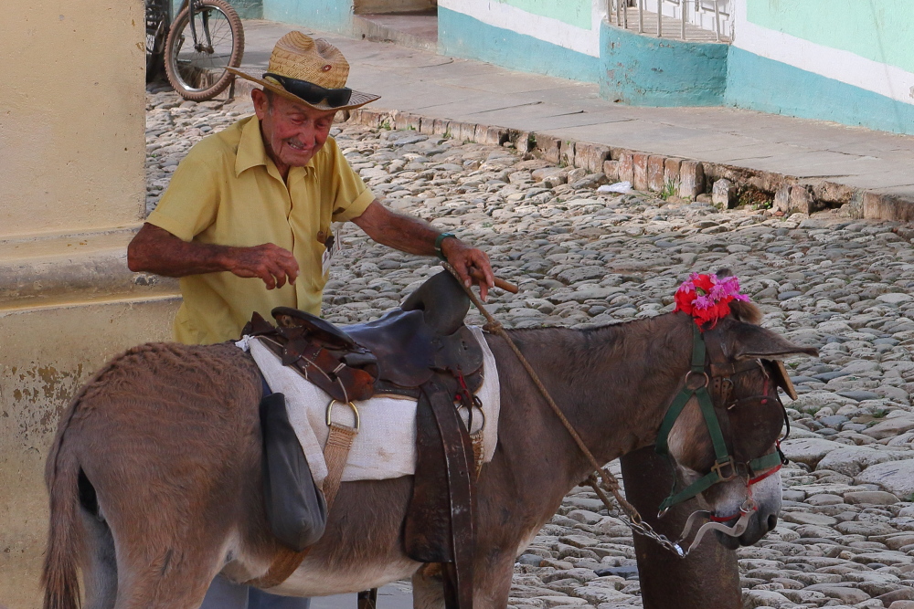 Der alte Mann aus Trinidad