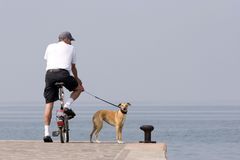 Der alte Mann (mit Hund) und das Meer