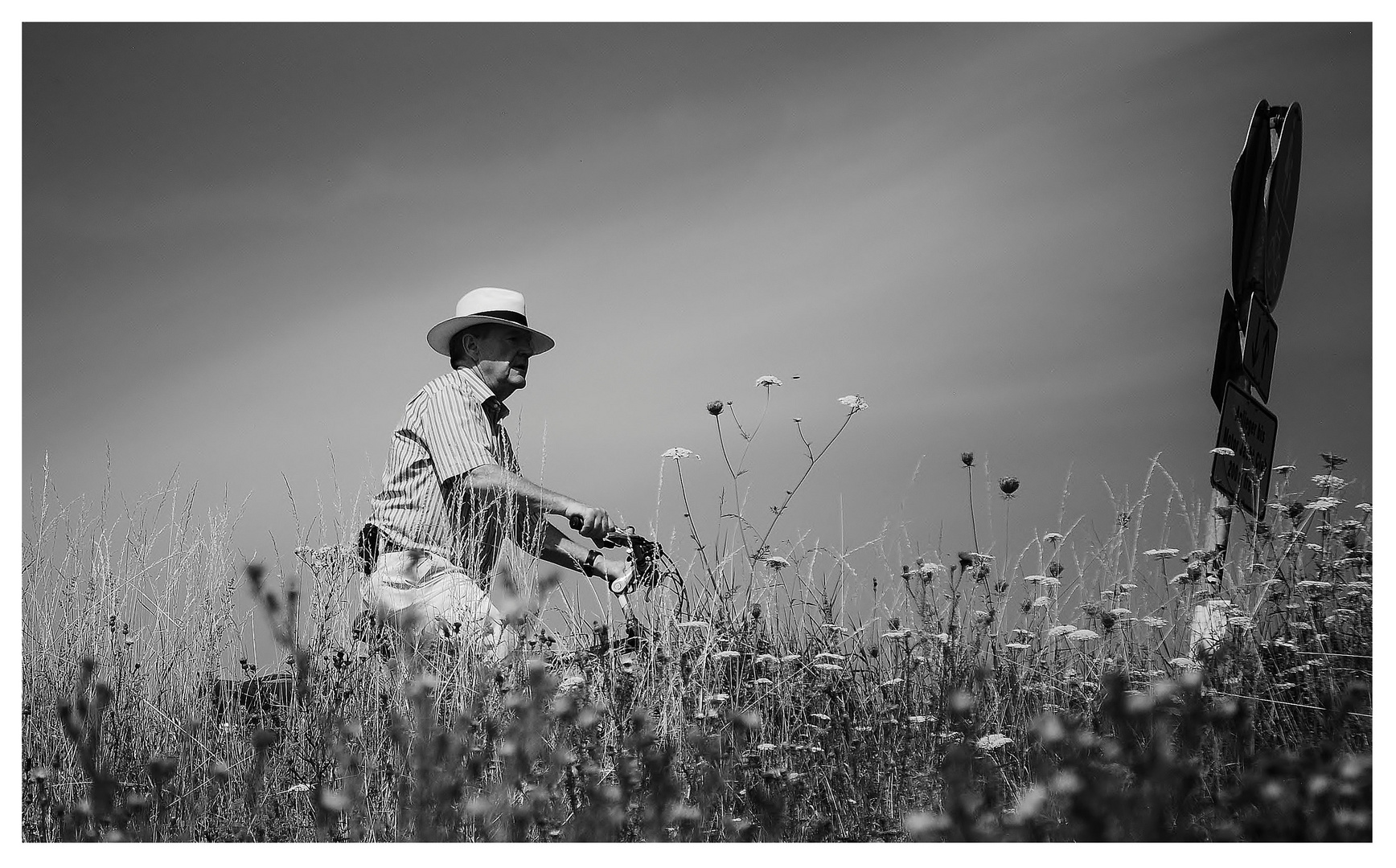 Der alte Mann und das   (Blumen-) Meer :-)