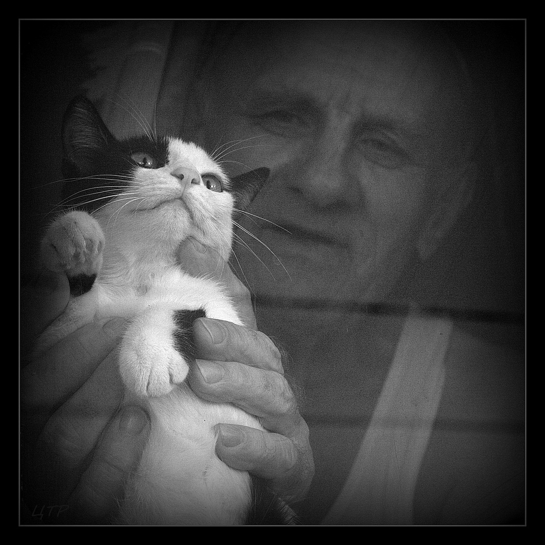 der alte Mann und das Kätzchen