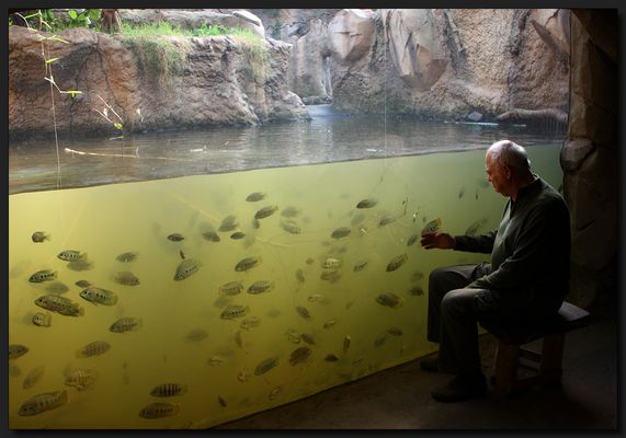 ...Der alte Mann und das Meer...