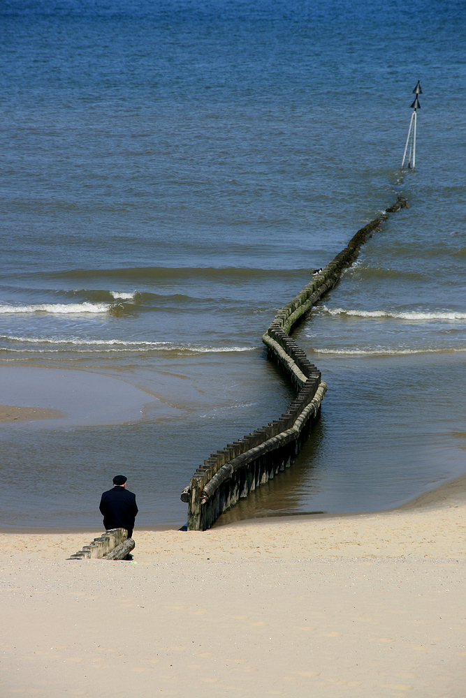 Der alte Mann und das Meer