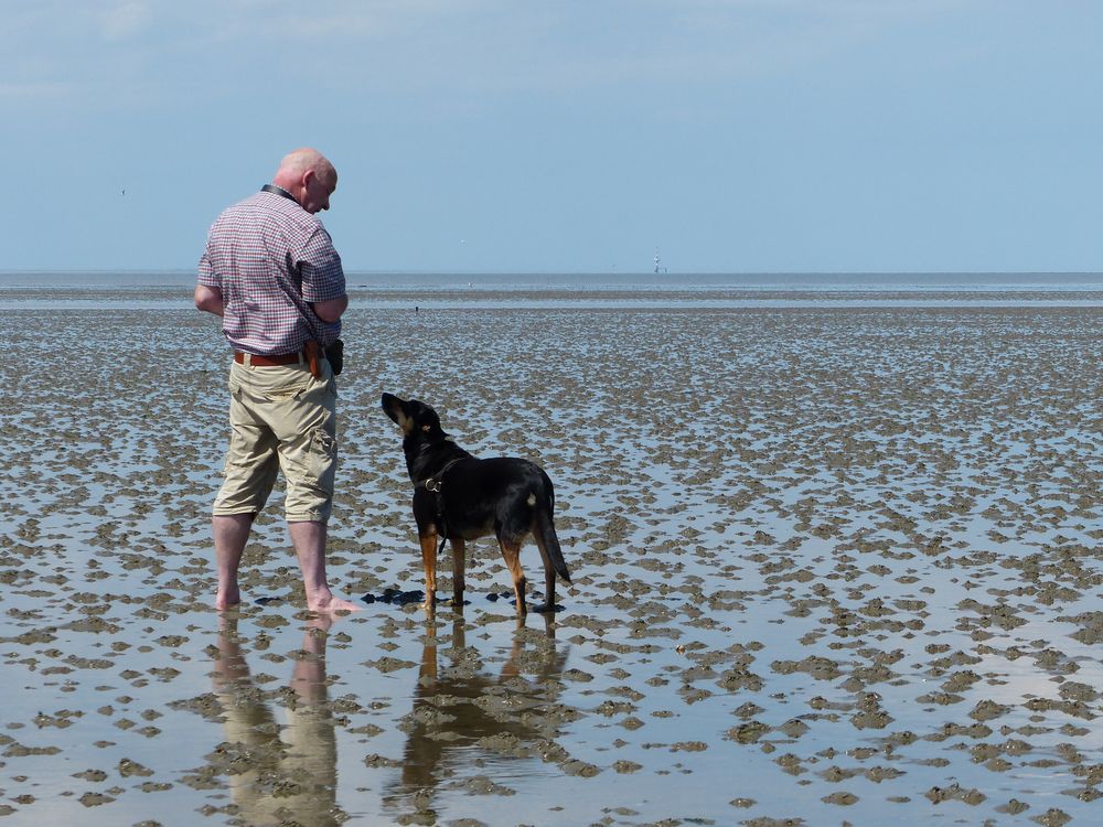 Der alte Mann und das Meer ....