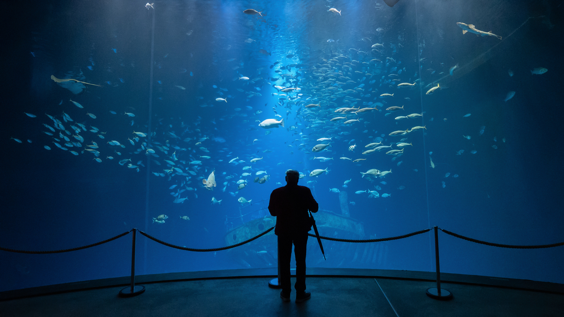 Der alte Mann und das Meer