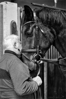 Der alte Mann und das Pferd