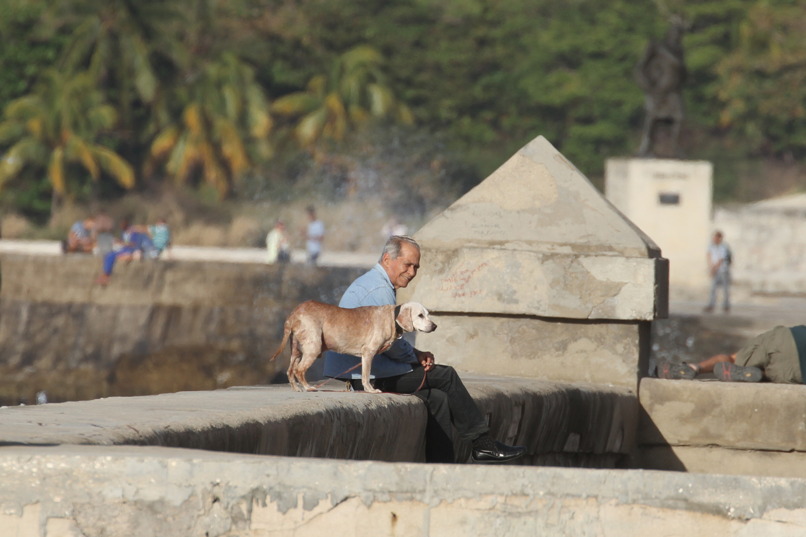 Der alte Mann und der Hund