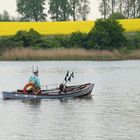 Der Alte Mann und  die Schlei 