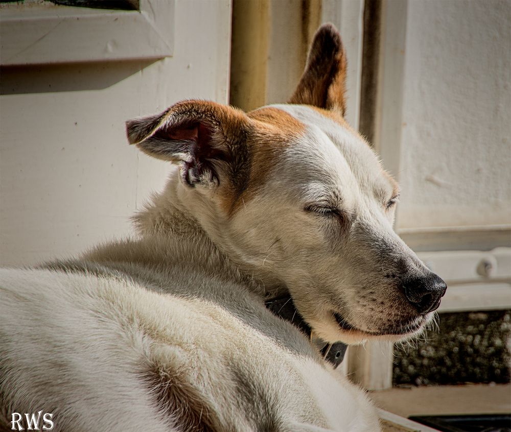 Der alte Mann und die Sonne....