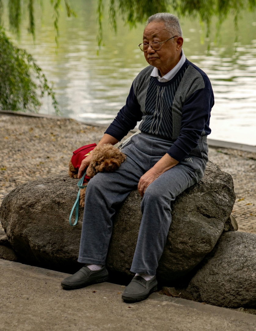 Der alte Mann und sein Hund 