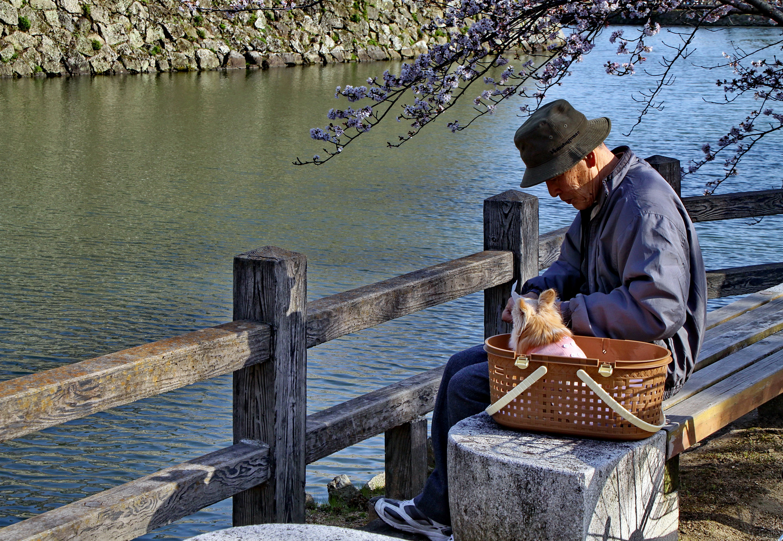 Der alte Mann und sein Hund