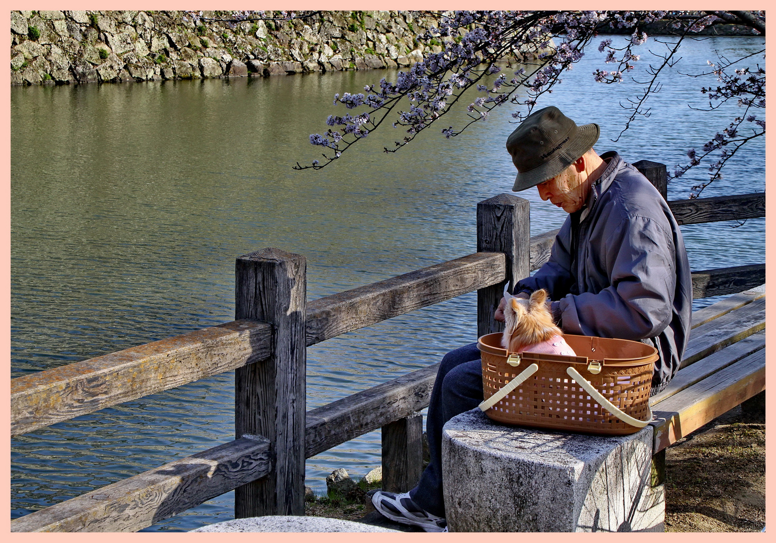 Der alte Mann und sein Hund