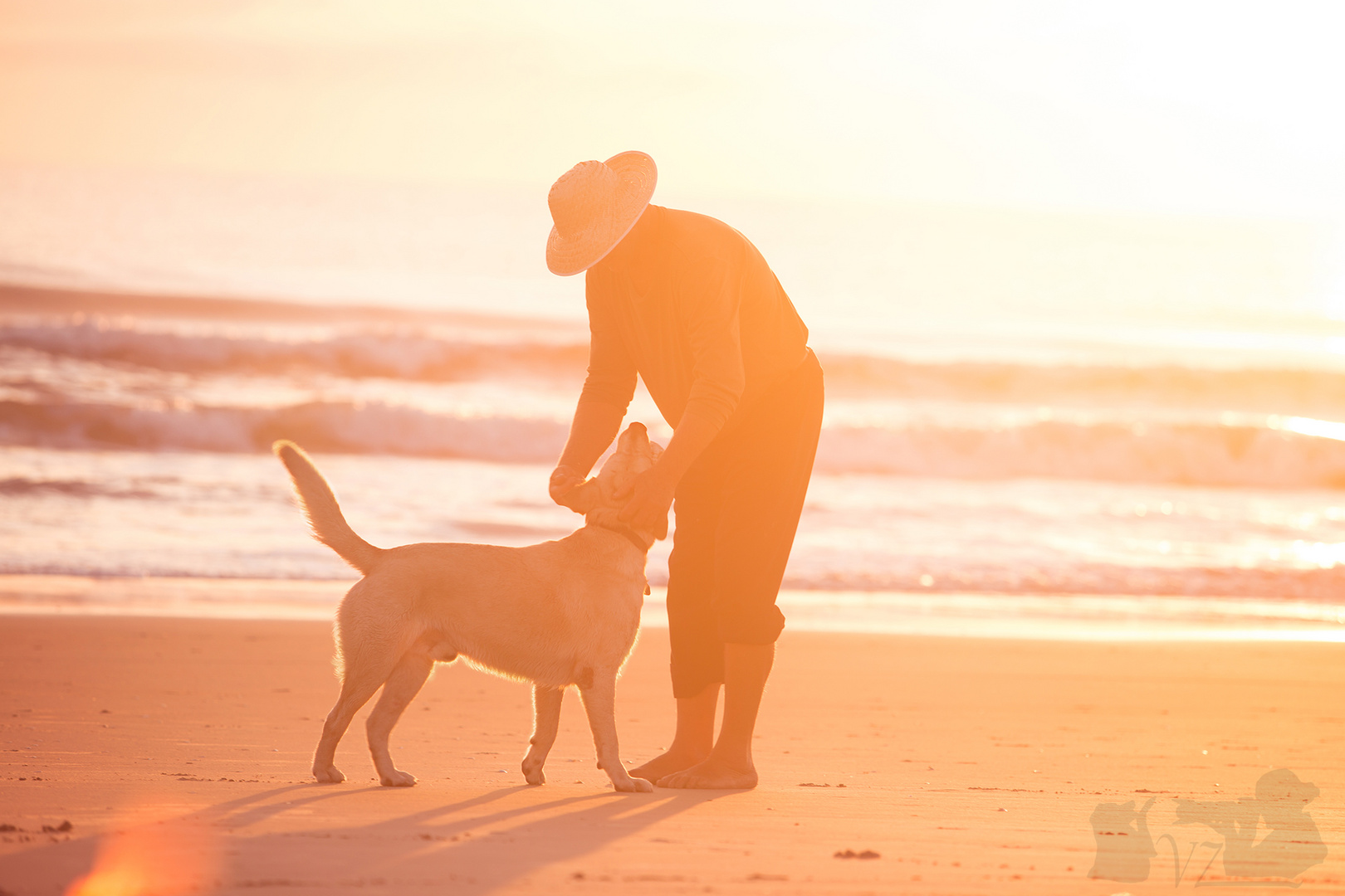 Der alte Mann und sein Hund