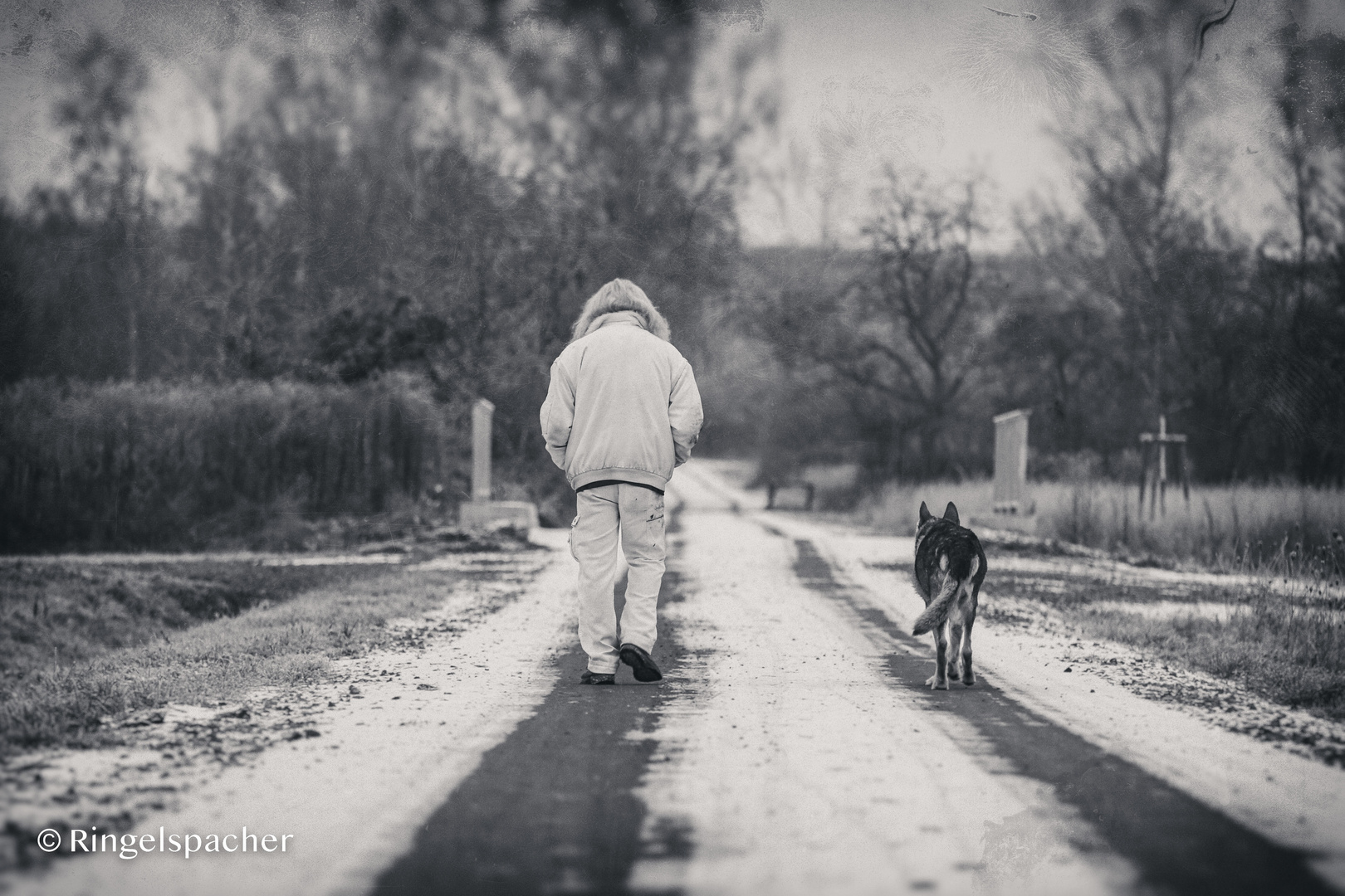 Der alte Mann und sein Wolf (s-Hund)!